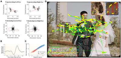 Microsaccades reflect attention shifts: a mini review of 20 years of microsaccade research